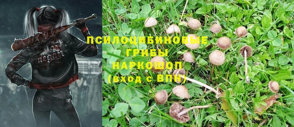 первитин Белокуриха