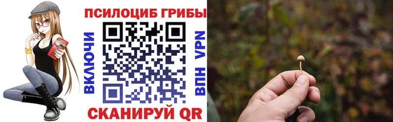 Псилоцибиновые грибы GOLDEN TEACHER  ОМГ ОМГ как войти  Видное 